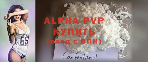 гидропоника Бородино