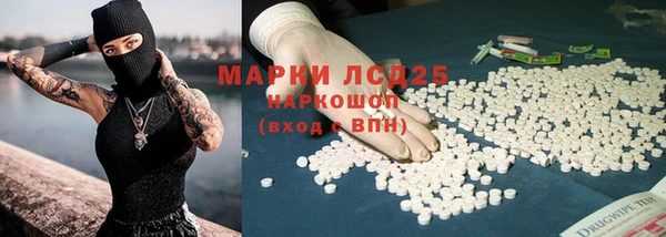 гидропоника Бородино