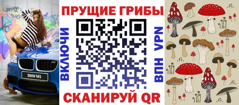 Купить где  Лабинск  Псилоцибиновые грибы MAGIC MUSHROOMS 